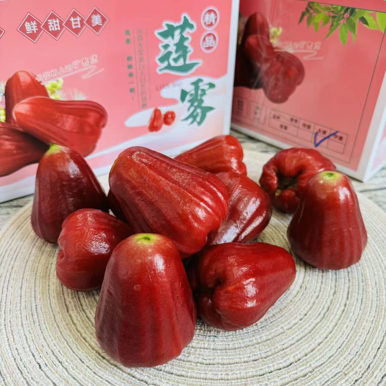 乐鲜果园海南黑金刚莲雾3斤礼盒装鲜果新鲜时令水果礼品