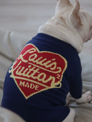 Louis Vuitton Dog Clothes