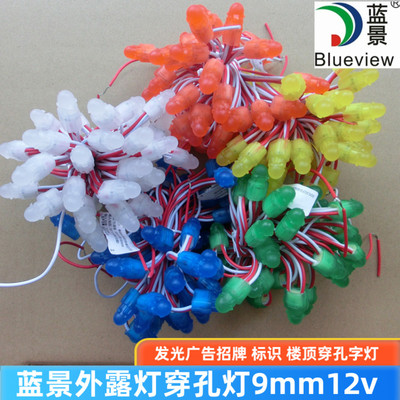 led蓝景12V发光广告防水外漏灯串