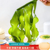 长寿菜干裙带菜海带三秒薄嫩火锅烫韩式 汤高泡发13倍爱藻小厨