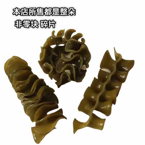 海灵芝海木耳海白菜裙带菜海带干货特级出口包邮干泡发爱藻小厨