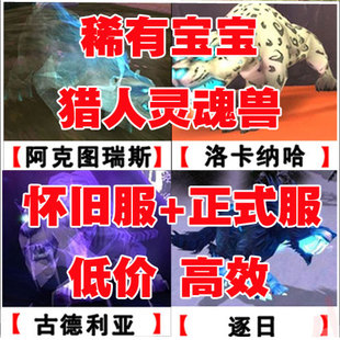 魔兽世界怀旧正式服代抓宝宝灵魂兽洛卡纳哈逐日大脚电狼休玛断牙