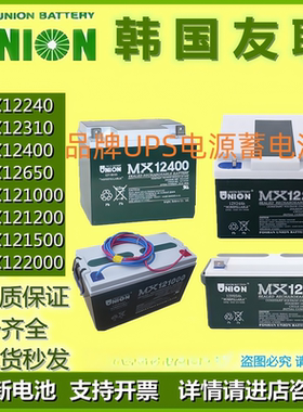UNION友联原装蓄电池MX12400MX12240MX12170MX12200MX121000MX650