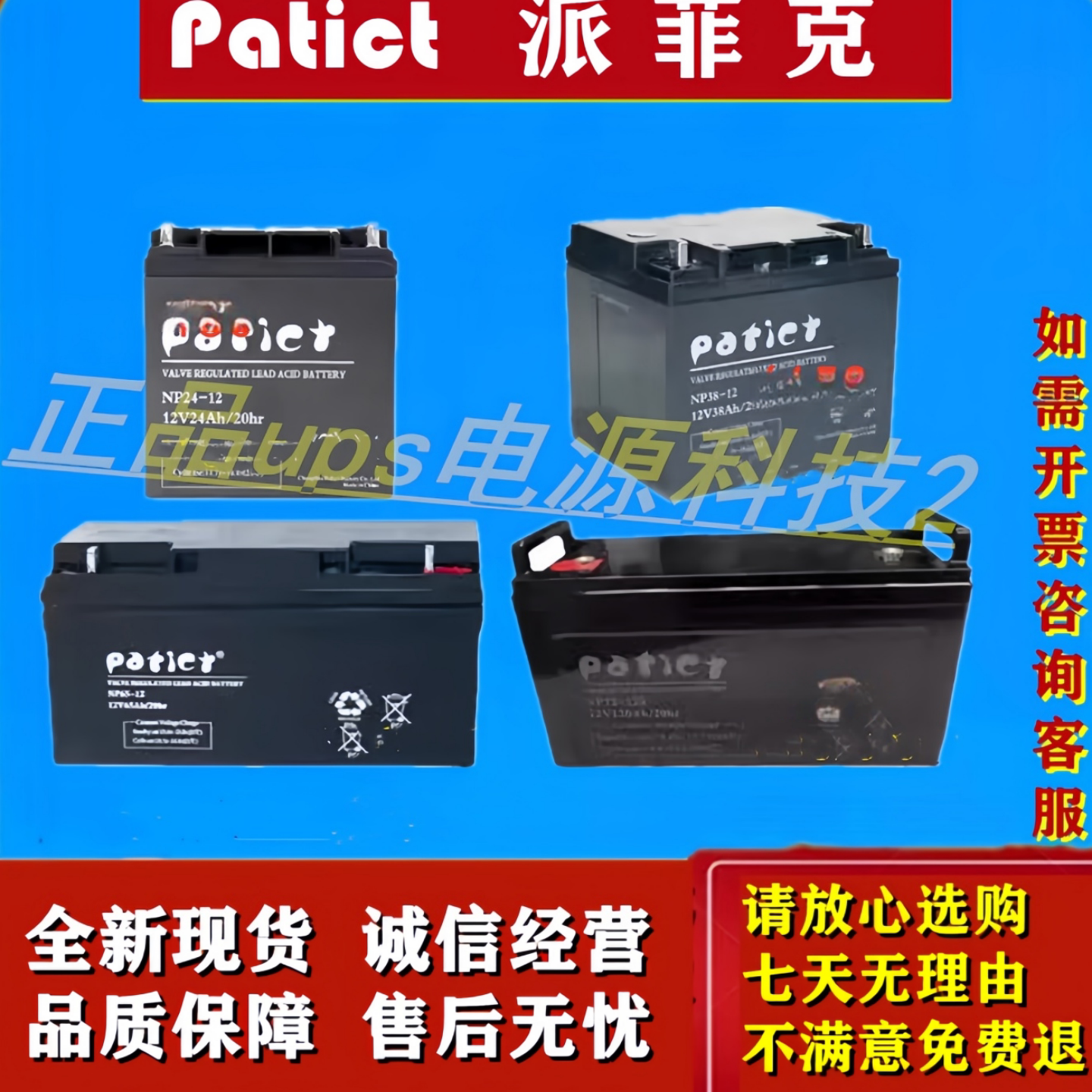 Patict派菲克蓄电池NP24-12NP65-12NP38-12NP100-12EPS/UPS机房用