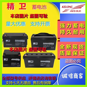 科华精卫蓄电池6-GFM-24-YT 6-GFM-100-YT 6-GFM-38-YTGFM-65原装