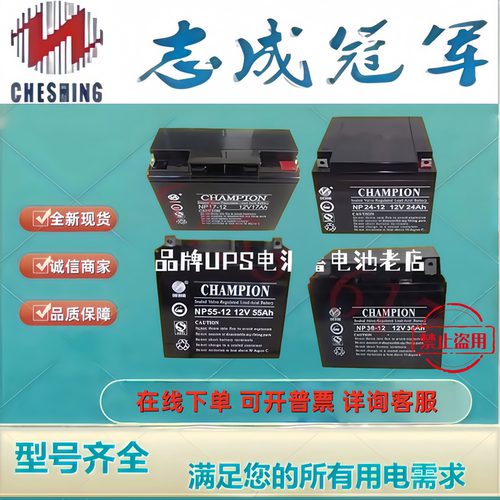 CHAMPION志成冠军蓄电池NP7-12NP38-12NP17-12NP24-12NP65-12NP12