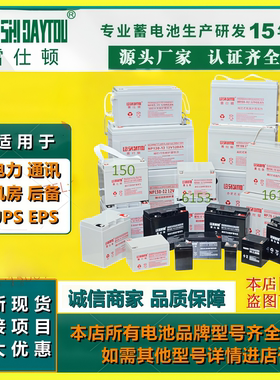 雷仕顿电池全新原装NP12V7AH12AH17AH20AH24AH38AH65AH100AH150AH
