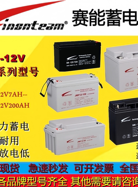 Sinonteam赛能蓄电池SN-12V100CA SN-12V7CA SN-12V65CA12V电池