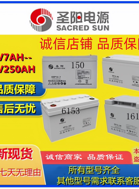 圣阳蓄电池SSP12-17 12V17AH SSP12-18 12V18AH铅酸免维护机房UPS