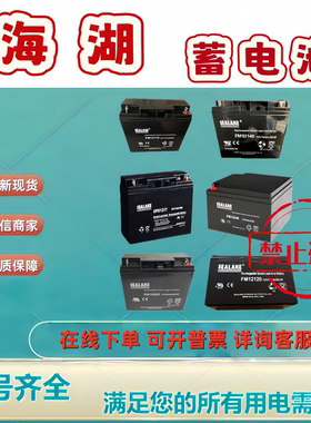 SEALAKE海湖蓄电池FM12220FM1270FM12330FM12120FM12170FM12650