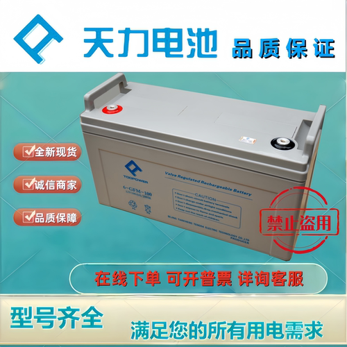 TOOPOWER天力蓄电池6GFM100 12V100AH铅酸免维护机房应急UPS电池