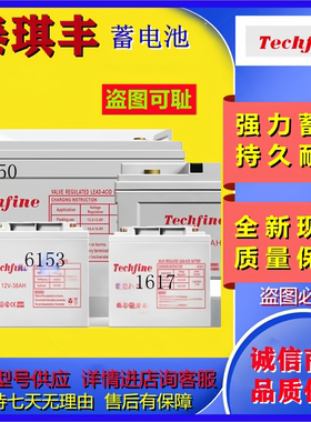 Techfine泰琪丰蓄电池UD12V-17UD12V-24UD12V-38UD12V-65UD12V100