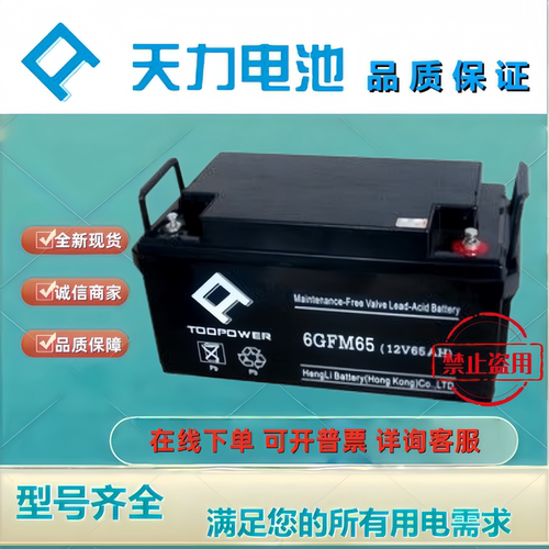 TOOPOWER天力蓄电池6GFM65 12V65AH铅酸免维护机房应急UPSEPS电池