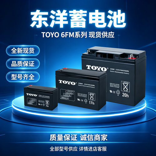 TOYO东洋蓄电池6FM7 6FM4 6FM10 6FM12 6FM17 6FM20 6FM5 6FM24