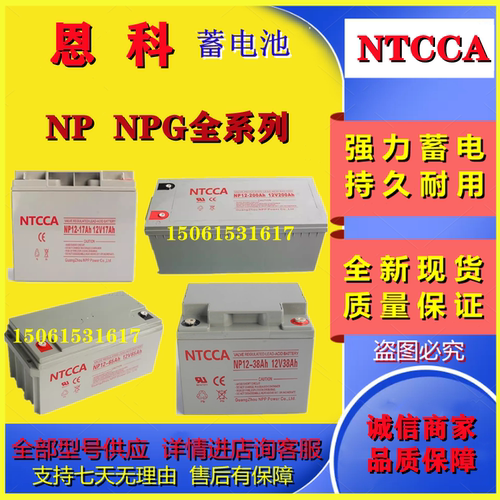 NTCCA恩科蓄电池NP17-12V12AH24AH38AH17AH65AH NPG100-12V100AH