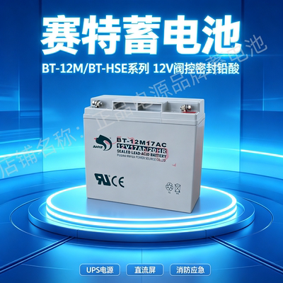 赛特蓄电池BT-12M17AC 12V17Ah铅酸免维护消防主机UPS机房应急