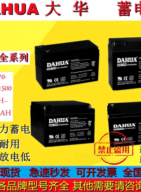DAHUA大华蓄电池DHB1270DHB1290DHB12120DHB12170DHB12240DHB1238