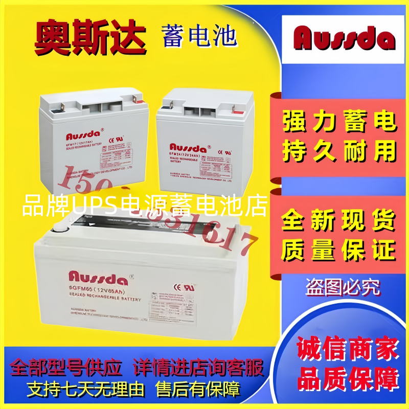 AUSSDA奥斯达蓄电池6GFM100 6GFM65 6GFM120 6FM24 6FM40 6FM17