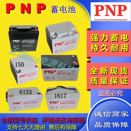 PNP蓄电池全新NPG100-12   NP24-12 NP120-12 NP65-12 NP38-12