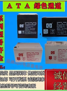 ATA绿色通道蓄电池LC-R1217 R127 R1224 R1238 R1265 R12100电池
