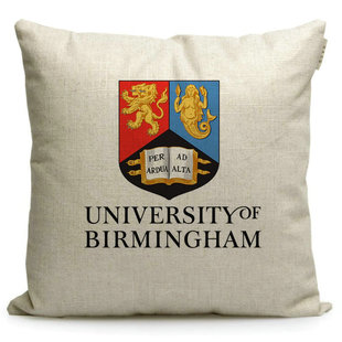 Birmingham纪念品伯明翰大学英国名校周边沙发靠枕靠垫抱枕