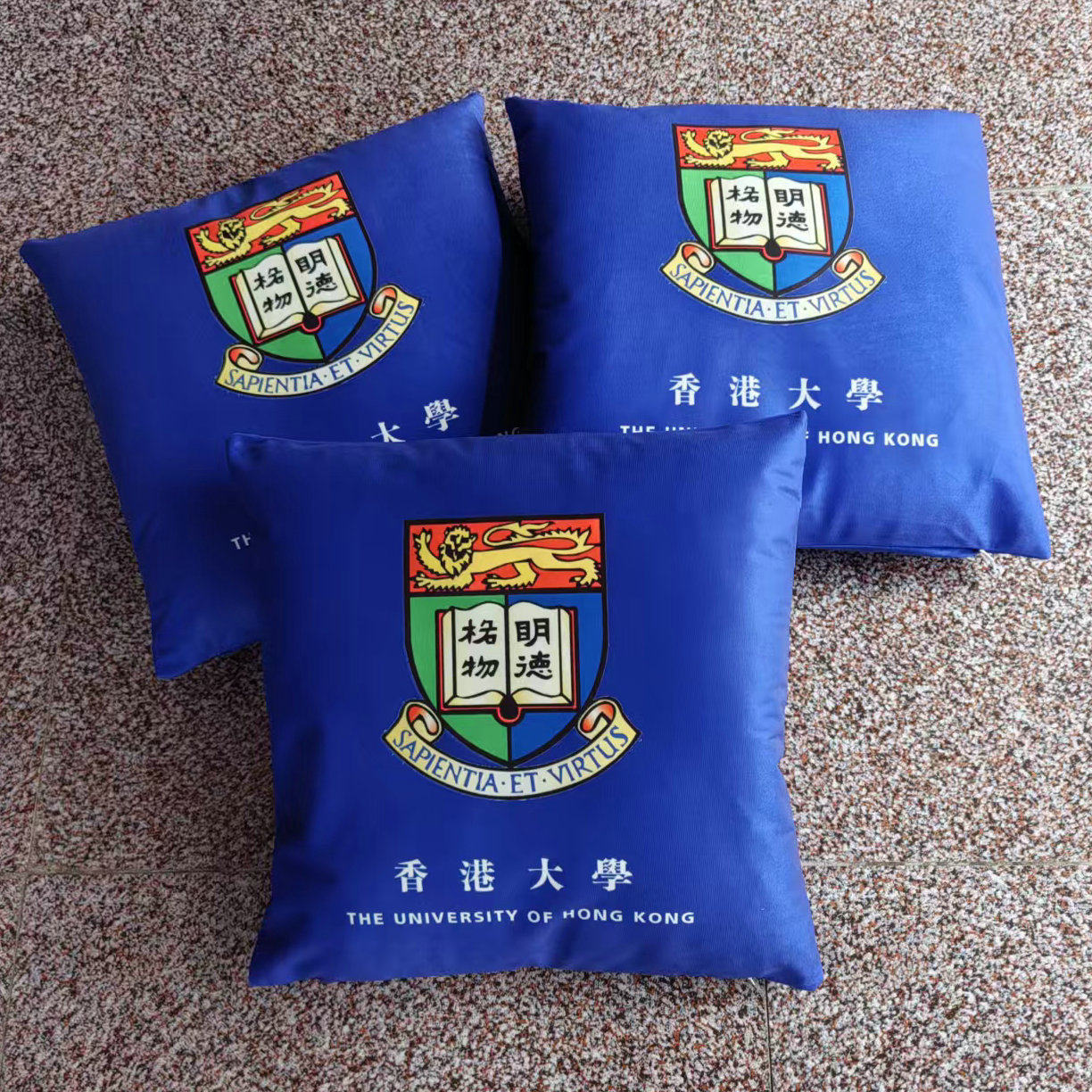 香港大学港大纪念品周边印校徽标志礼品赠品定制学生沙发靠垫抱枕