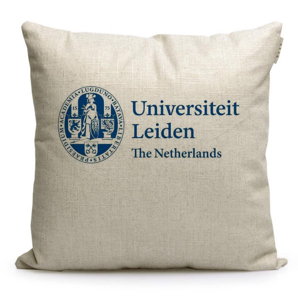 莱顿大学周边纪念品荷兰名校Leiden University定制沙发靠垫抱枕