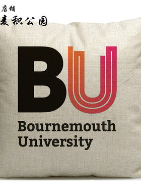 波恩茅斯大学Bournemouth纪念品诺森比亚大学Northumbria周边抱枕