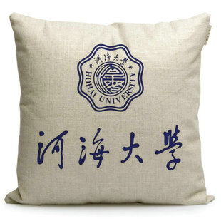 河海大学纪念品抱枕文创周边礼品靠枕定制河海印校徽礼物枕头