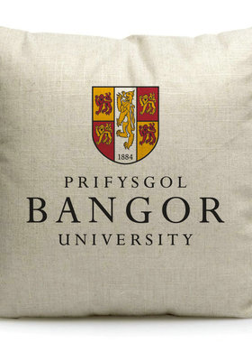 班戈大学英国名校Bangor University纪念品周边沙发靠枕靠垫抱枕