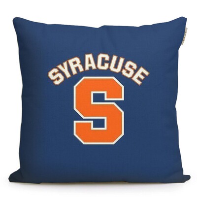 大学纪念品美国名校周边沙发靠枕