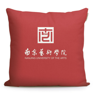南京艺术学院纪念品南艺沙发抱枕艺考礼物周边学生靠枕文创枕头