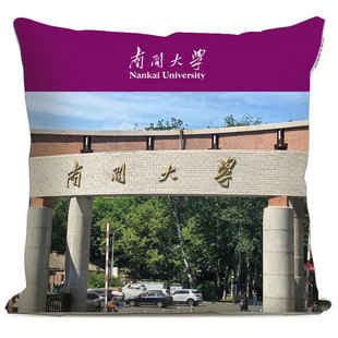 印象.南开大学 校园美景抱枕文创靠枕校友礼物毕业纪念品