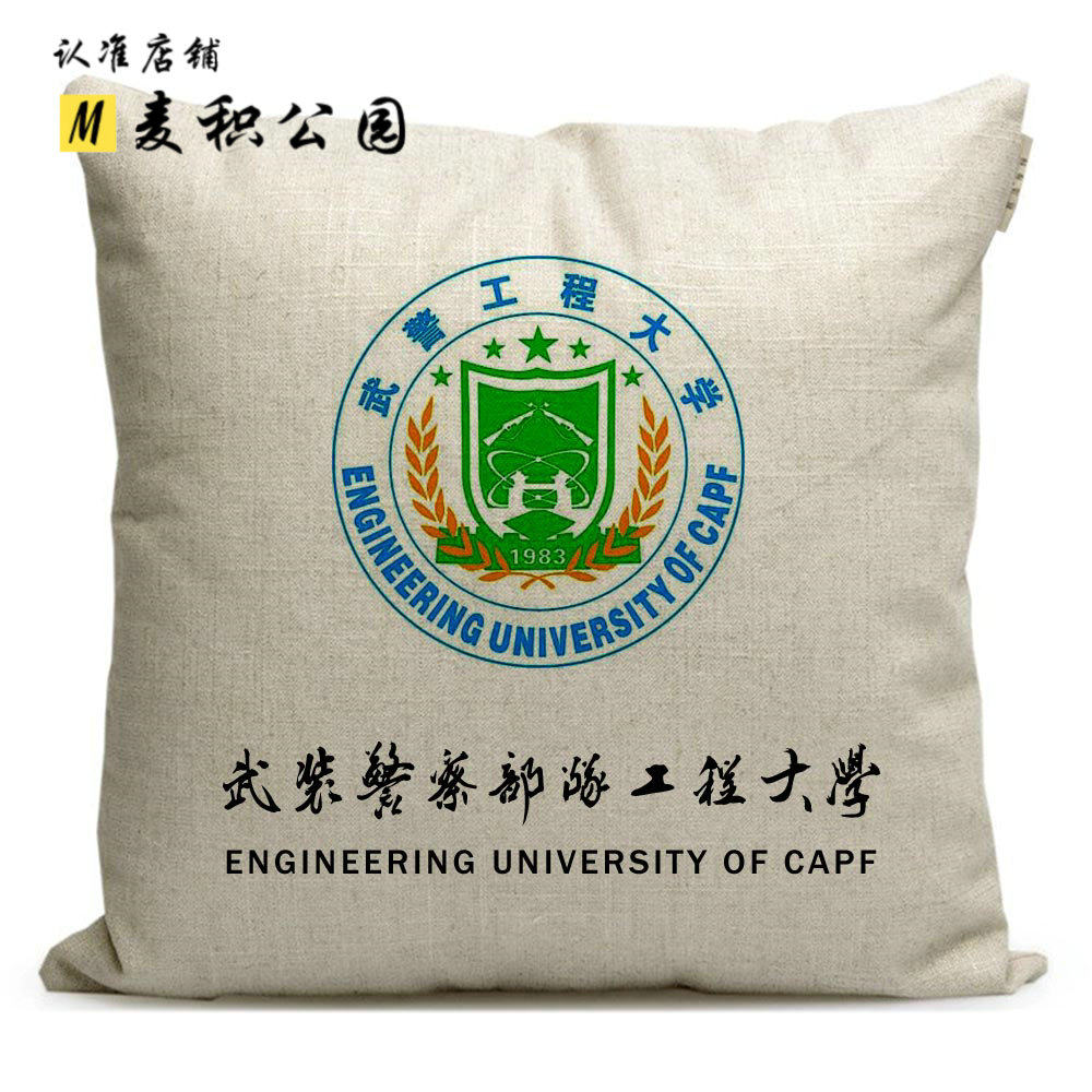 院校毕业纪念品定制 武警工程大学学生沙发靠垫徽章周边抱枕
