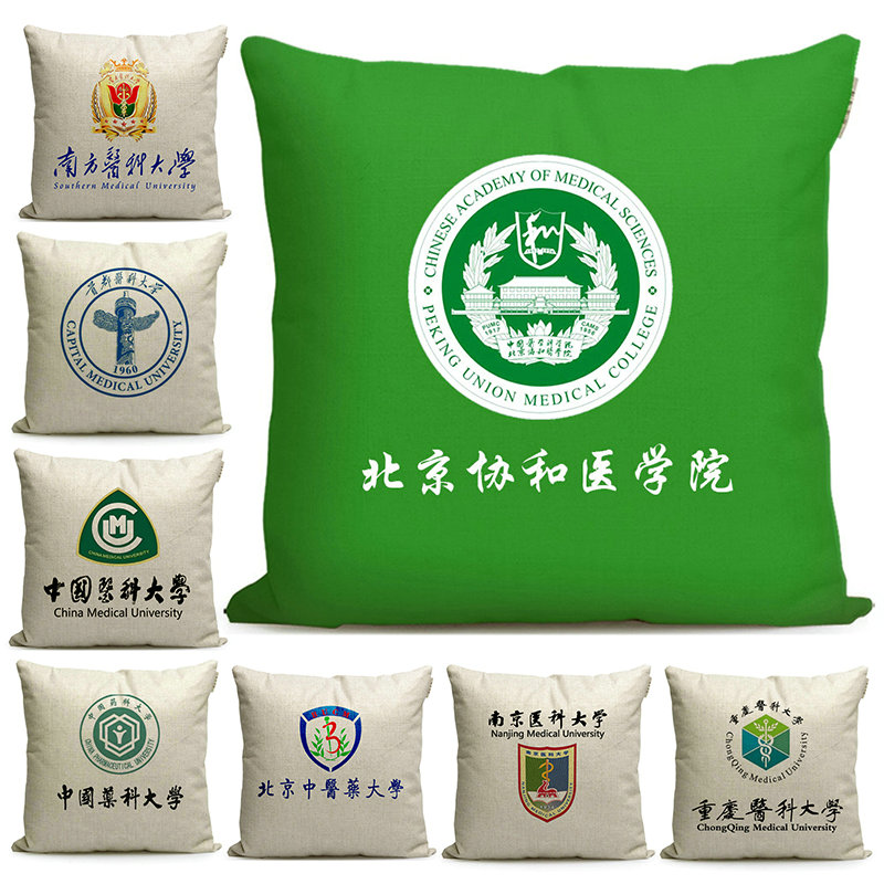 药科大学周边纪念品抱枕