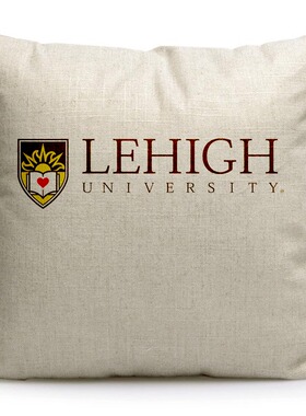 美国理海大学纪念品Lehigh University周边礼品沙发靠枕靠垫抱枕