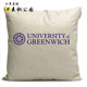 格林威治大学Greenwich周边布莱顿大学Brighton纪念品沙发抱枕