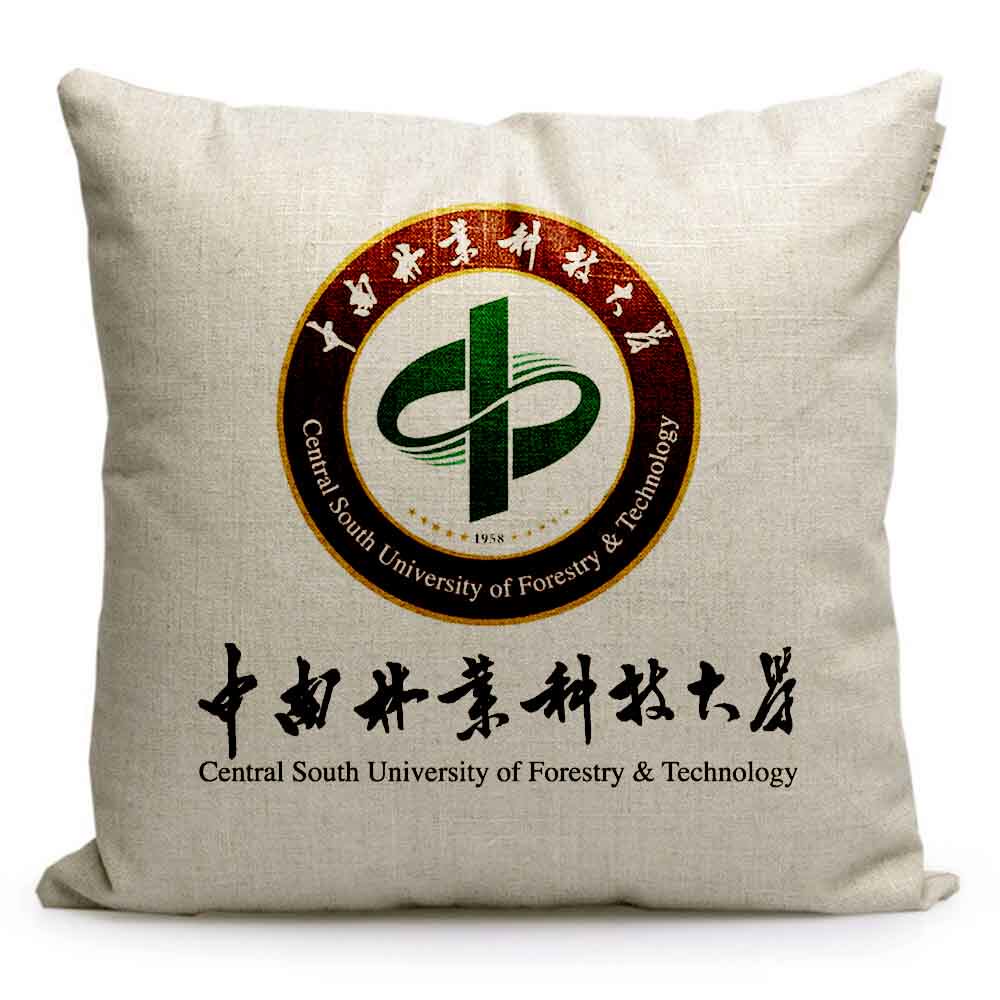 中南林业科技大学纪念品周边定制校徽标志礼品沙发靠枕靠垫抱枕