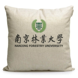南京林业大学纪念品沙发抱枕定制送学生文创礼品周边靠枕午睡枕头