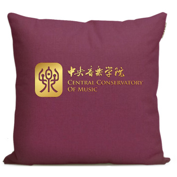 中央音乐学院纪念品沙发抱枕艺考周边枕头靠垫学生毕业礼物定制