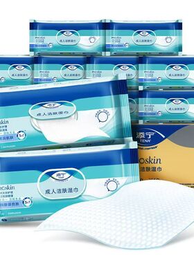 TENA/添宁Proskin成人洁肤柔软湿巾随身装家用手口可用12包480抽