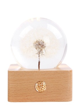 滴胶摆件家居蒲公英水晶球小夜灯永生花植物标本树脂创意饰品礼物