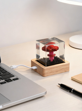 小夜灯摆件奥本海默原子弹爆炸蘑菇云创意水晶树脂内埋工艺品