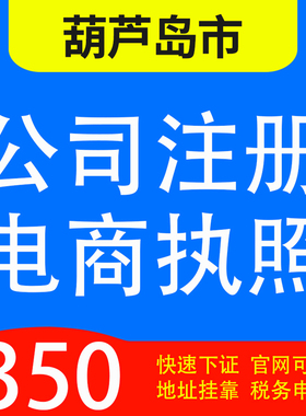葫芦岛连山、龙港、南票区、绥中县、建昌代办公司营业执照注册