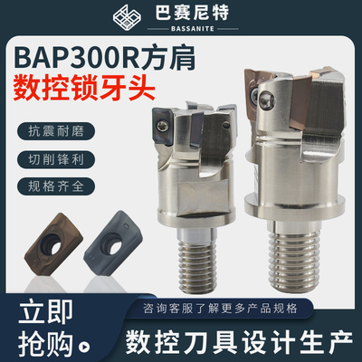 BAP300R/400R锁牙头螺牙抗震刀头