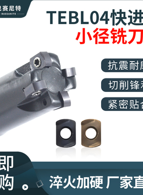 TEBL04小径铣刀杆 替代钨钢铣刀数控铣加工 BLMP0402双面四刃刀片