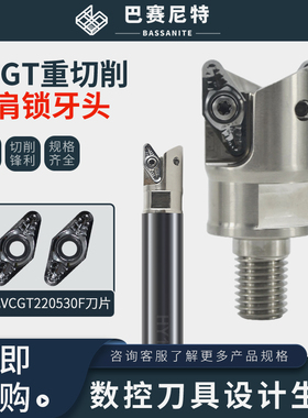 VCGT22锁牙式R3圆鼻圆弧立铣刀头 铝合金专用VCGT220530数控刀片