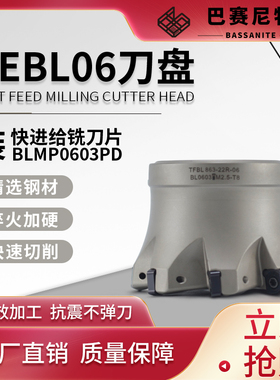 TEBL06快进给切削 数控铣刀盘 BLMP0603R-HY1308刀片与特固克通装