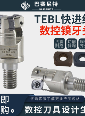 TEBL锁牙式刀头 数控铣R1大进给开粗深腔加工 BLMP0603通装特固克