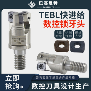 TEBL锁牙式刀头 数控铣R1大进给开粗深腔加工 BLMP0603通装特固克
